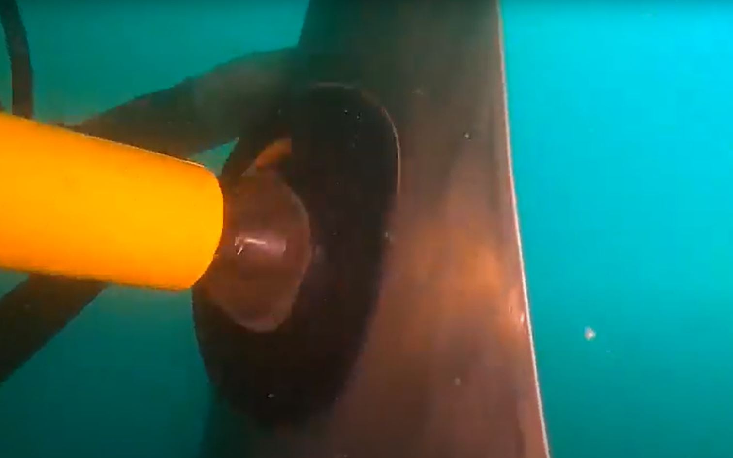 How to Propeller polishing underwater?
